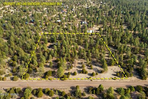 Tiny photo for 15 Co Rd 2019, Nutrioso, AZ 85932 (MLS # 255186)