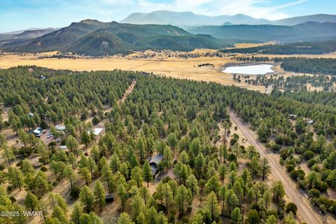 Tiny photo for 15 Co Rd 2019, Nutrioso, AZ 85932 (MLS # 255186)