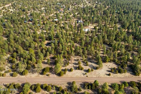 Tiny photo for 15 Co Rd 2019, Nutrioso, AZ 85932 (MLS # 255186)
