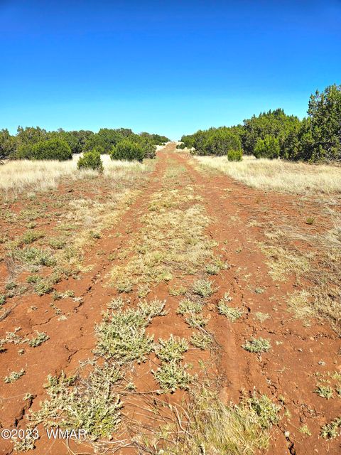 Tiny photo for 20 CO Road, Concho, AZ 85924 (MLS # 258523)
