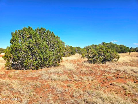 Tiny photo for 20 CO Road, Concho, AZ 85924 (MLS # 258523)