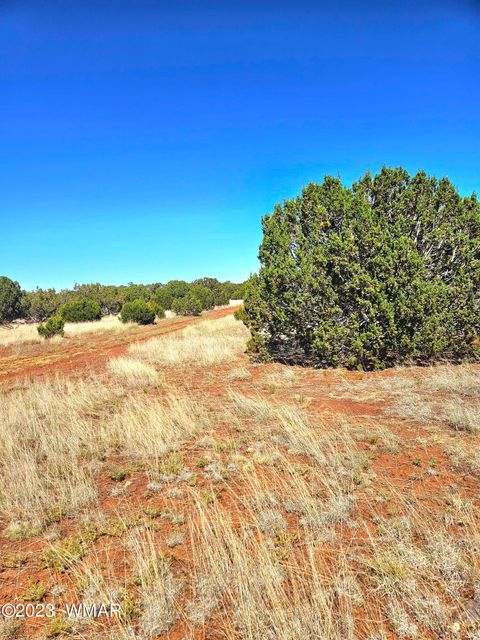 Tiny photo for 20 CO Road, Concho, AZ 85924 (MLS # 258523)