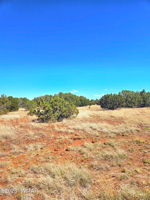 Tiny photo for 20 CO Road, Concho, AZ 85924 (MLS # 258523)