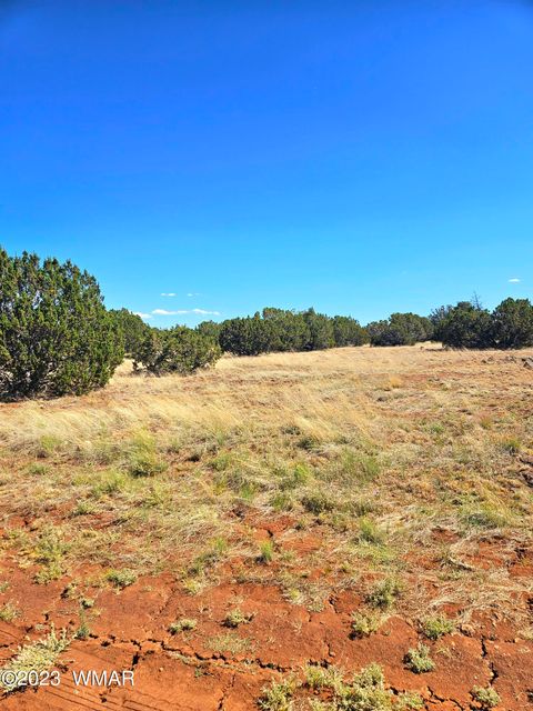 Tiny photo for 20 CO Road, Concho, AZ 85924 (MLS # 258523)
