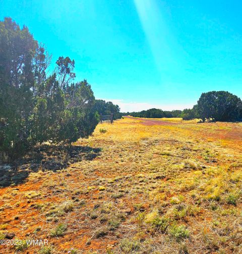 Tiny photo for 20 CO Road, Concho, AZ 85924 (MLS # 258523)