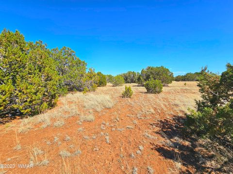 Tiny photo for 20 CO Road, Concho, AZ 85924 (MLS # 258523)