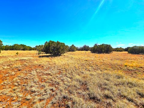 Tiny photo for 20 CO Road, Concho, AZ 85924 (MLS # 258523)