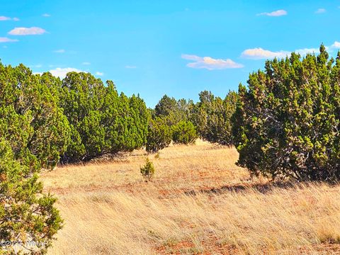 Photo of 20 CO Road, Concho, AZ 85924 (MLS # 258523)