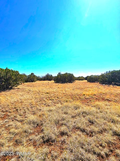 Tiny photo for 20 CO Road, Concho, AZ 85924 (MLS # 258523)
