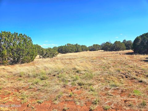 Tiny photo for 20 CO Road, Concho, AZ 85924 (MLS # 258523)