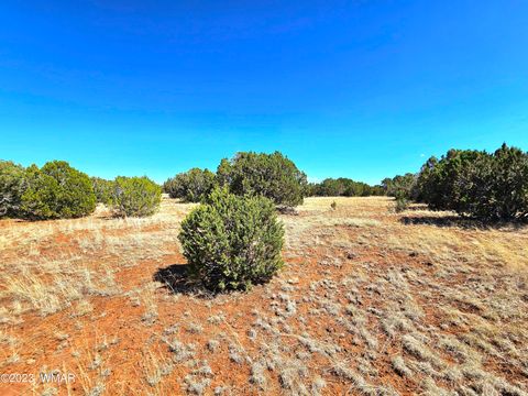 Tiny photo for 20 CO Road, Concho, AZ 85924 (MLS # 258523)