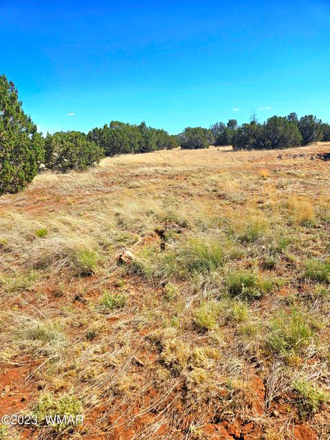 Tiny photo for 20 CO Road, Concho, AZ 85924 (MLS # 258523)