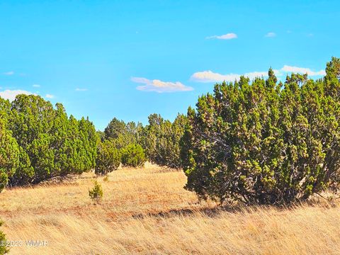 Tiny photo for 20 CO Road, Concho, AZ 85924 (MLS # 258523)