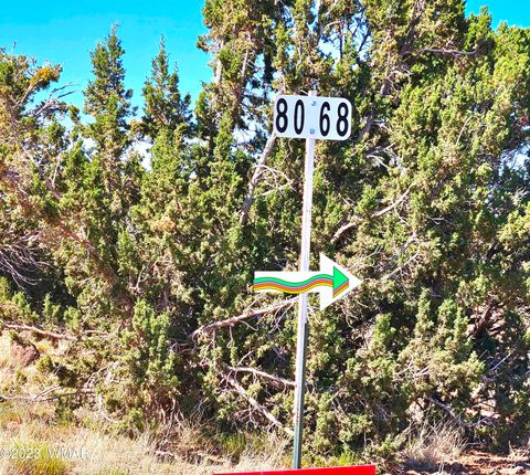 Tiny photo for 20 CO Road, Concho, AZ 85924 (MLS # 258523)