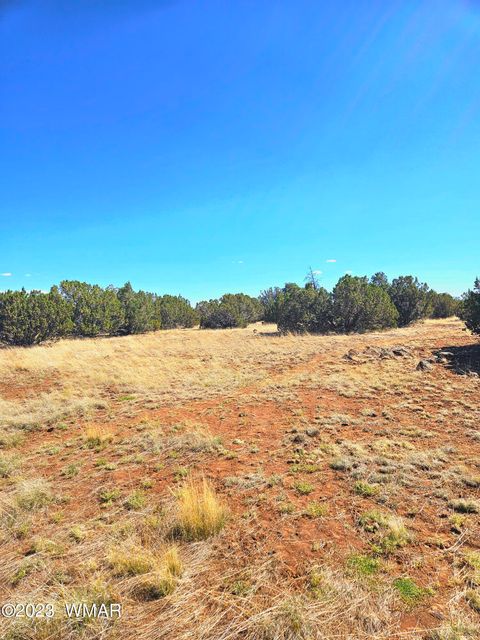 Tiny photo for 20 CO Road, Concho, AZ 85924 (MLS # 258523)