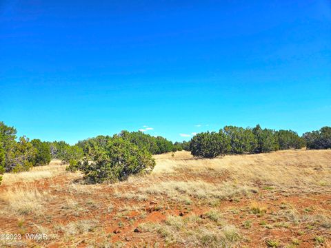 Tiny photo for 20 CO Road, Concho, AZ 85924 (MLS # 258523)