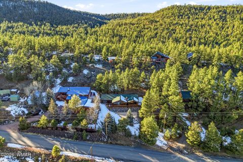 Tiny photo for 111 County Road 1120, Greer, AZ 85927 (MLS # 259202)