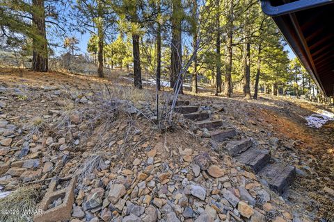Tiny photo for 111 County Road 1120, Greer, AZ 85927 (MLS # 259202)