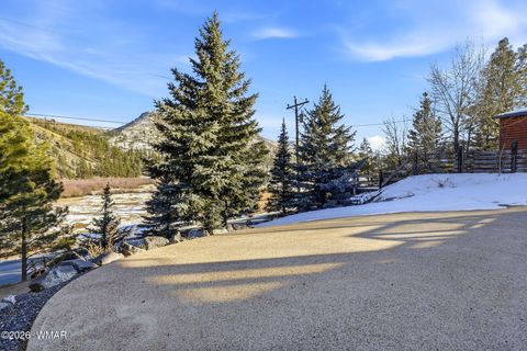 Tiny photo for 111 County Road 1120, Greer, AZ 85927 (MLS # 259202)