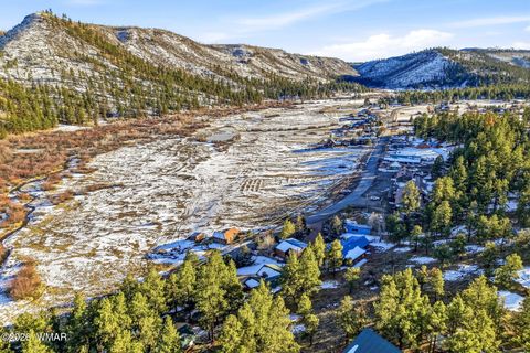 Tiny photo for 111 County Road 1120, Greer, AZ 85927 (MLS # 259202)