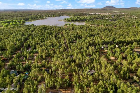 Tiny photo for 297 Fox Lane, Lakeside, AZ 85929 (MLS # 257630)