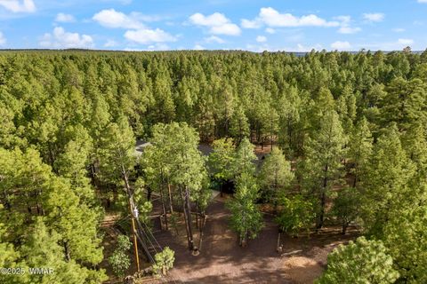 Tiny photo for 297 Fox Lane, Lakeside, AZ 85929 (MLS # 257630)