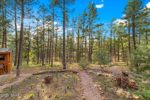 Tiny photo for 1000 N Needles Creek Drive, Show Low, AZ 85901 (MLS # 260673)
