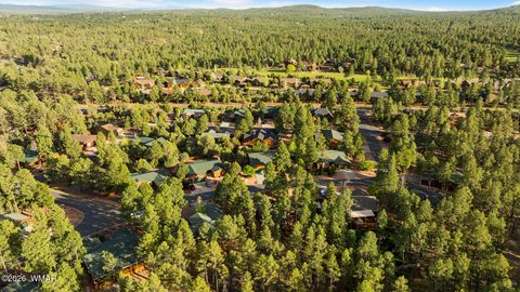 Tiny photo for 1000 N Needles Creek Drive, Show Low, AZ 85901 (MLS # 260673)