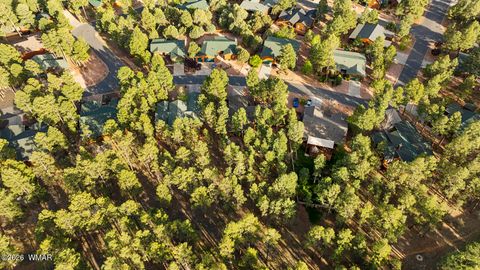 Tiny photo for 1000 N Needles Creek Drive, Show Low, AZ 85901 (MLS # 260673)