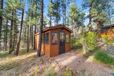 Tiny photo for 1000 N Needles Creek Drive, Show Low, AZ 85901 (MLS # 260673)
