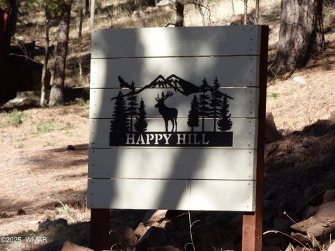 Tiny photo for 14 & 16 N CR 2057, Alpine, AZ 85920 (MLS # 255192)