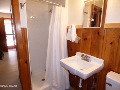 Tiny photo for 14 & 16 N CR 2057, Alpine, AZ 85920 (MLS # 255192)