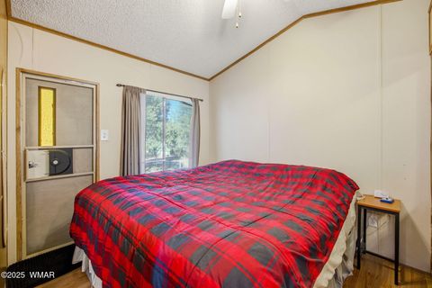 Tiny photo for 2169 Tenderfoot Trail, Overgaard, AZ 85933 (MLS # 258418)