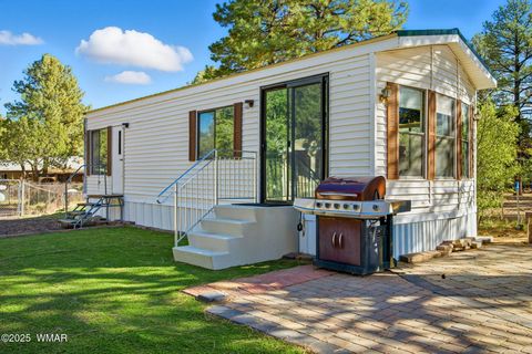 Photo of 2169 Tenderfoot Trail, Overgaard, AZ 85933 (MLS # 258418)