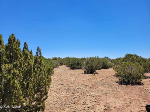 Tiny photo for 8442 Lake Ridge Road, Show Low, AZ 85901 (MLS # 262766)
