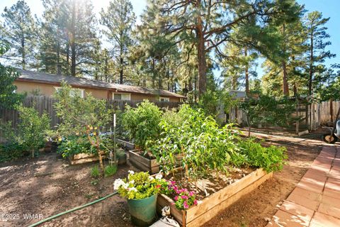 Tiny photo for 2027 Wilderness Drive, Overgaard, AZ 85933 (MLS # 258748)