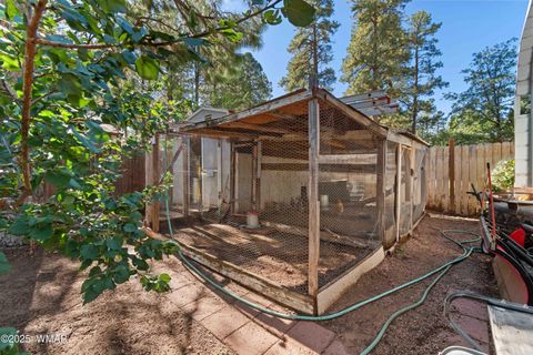 Tiny photo for 2027 Wilderness Drive, Overgaard, AZ 85933 (MLS # 258748)