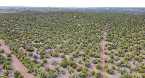 Tiny photo for 26D Ranch Rd Rd, Show Low, AZ 85901 (MLS # 260703)