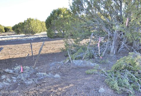 Tiny photo for 26D Ranch Rd Rd, Show Low, AZ 85901 (MLS # 260703)