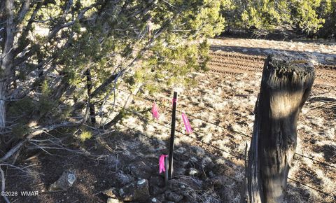 Tiny photo for 26D Ranch Rd Rd, Show Low, AZ 85901 (MLS # 260703)