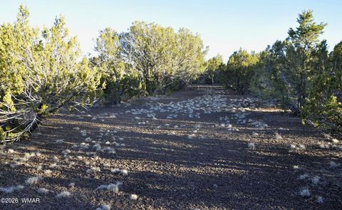 Tiny photo for 26D Ranch Rd Rd, Show Low, AZ 85901 (MLS # 260703)