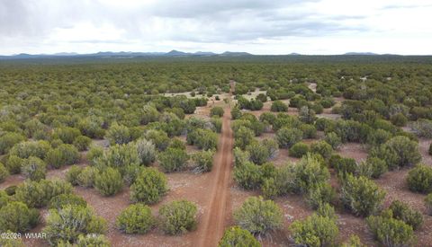 Photo of 26D Ranch Rd Rd, Show Low, AZ 85901 (MLS # 260703)