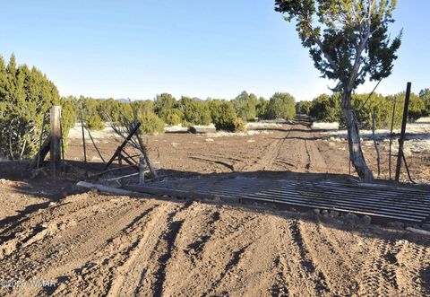 Tiny photo for 26D Ranch Rd Rd, Show Low, AZ 85901 (MLS # 260703)