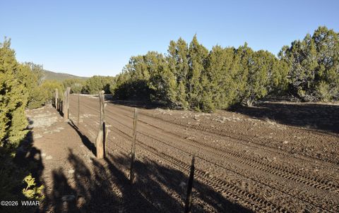 Tiny photo for 26D Ranch Rd Rd, Show Low, AZ 85901 (MLS # 260703)