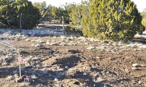 Tiny photo for 26D Ranch Rd Rd, Show Low, AZ 85901 (MLS # 260703)