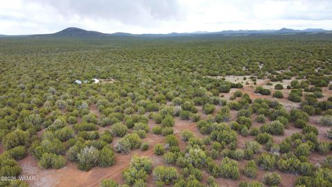 Tiny photo for 26D Ranch Rd Rd, Show Low, AZ 85901 (MLS # 260703)