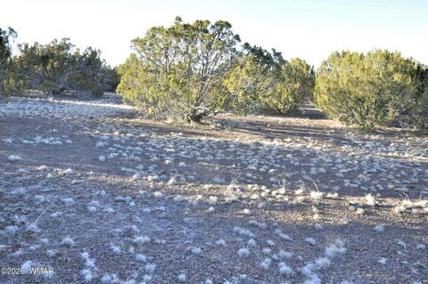 Tiny photo for 26D Ranch Rd Rd, Show Low, AZ 85901 (MLS # 260703)