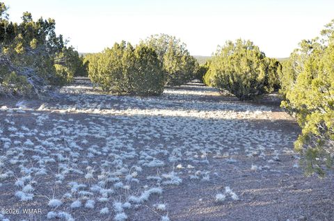 Tiny photo for 26D Ranch Rd Rd, Show Low, AZ 85901 (MLS # 260703)