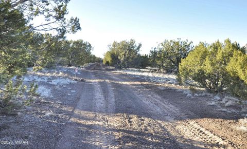 Tiny photo for 26D Ranch Rd Rd, Show Low, AZ 85901 (MLS # 260703)