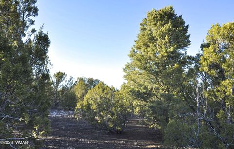 Tiny photo for 26D Ranch Rd Rd, Show Low, AZ 85901 (MLS # 260703)
